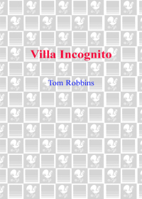 Cover image: Villa Incognito 9780553382198