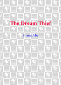 Cover image: The Dream Thief 9780553804935