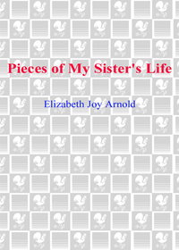 Cover image: Pieces of My Sister's Life 9780385340656