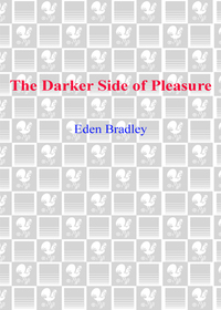 Cover image: The Darker Side of Pleasure 9780553589740