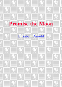 Cover image: Promise the Moon 9780385340663