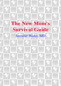 Cover image: The New Mom's Survival Guide 9780553805031