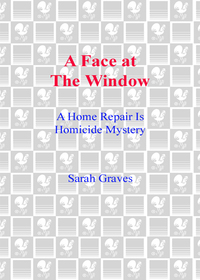 Cover image: A Face at the Window 9780553806793