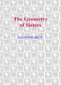 Cover image: The Geometry of Sisters 9780553805130