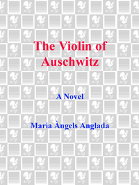 Cover image: The Violin of Auschwitz 9780553807783