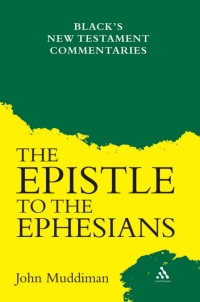 Imagen de portada: Epistle to the Ephesians 1st edition 9780567295569