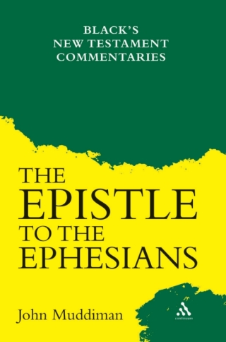 Cover image: Epistle to the Ephesians 1st edition 9780567295569