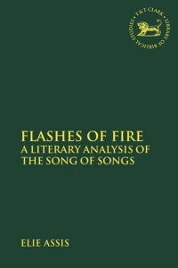 Cover image: Flashes of Fire 1st edition 9780567689672