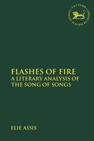 صورة الغلاف: Flashes of Fire 1st edition 9780567689672