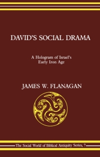 Cover image: David's Social Drama 1st edition 9781850752011