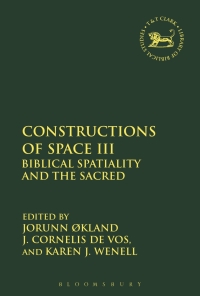 Cover image: Constructions of Space III 1st edition 9780567686626