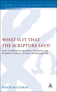 Cover image: What is it that the Scripture Says? 1st edition 9780567043535