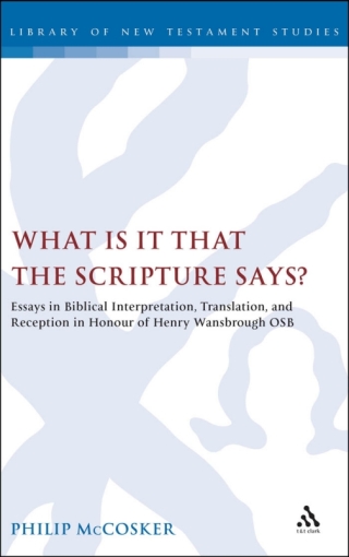 表紙画像: What is it that the Scripture Says? 1st edition 9780567043535