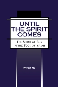 Cover image: Until the Spirit Comes 1st edition 9780567136251
