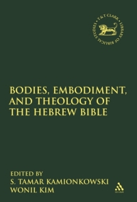 Cover image: Bodies, Embodiment, and Theology of the Hebrew Bible 1st edition 9780567547996