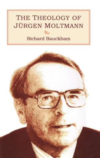 Cover image: Theology of Jürgen Moltmann 1st edition 9780567292773