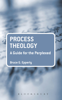 Cover image: Process Theology: A Guide for the Perplexed 1st edition 9780567596697