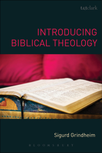 Cover image: Introducing Biblical Theology 1st edition 9780567456878