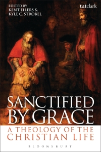 صورة الغلاف: Sanctified by Grace 1st edition 9780567383433