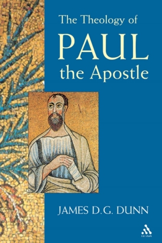 Cover image: Theology of Paul the Apostle 1st edition 9780567089588