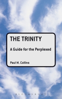 Immagine di copertina: The Trinity: A Guide for the Perplexed 1st edition 9780567031853