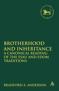 Omslagafbeelding: Brotherhood and Inheritance 1st edition 9780567103819