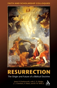 Titelbild: Resurrection 1st edition 9780567027481
