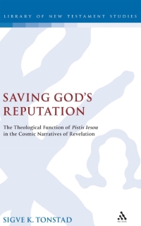 Imagen de portada: Saving God's Reputation 1st edition 9780567202444