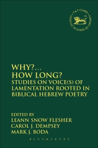 Titelbild: Why?... How Long? 1st edition 9780567663733
