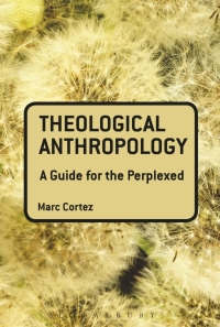 Omslagafbeelding: Theological Anthropology: A Guide for the Perplexed 1st edition 9780567034328