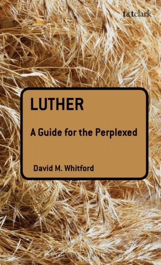 Cover image: Luther: A Guide for the Perplexed 1st edition 9780567032799