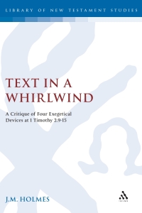 Immagine di copertina: Text in a Whirlwind 1st edition 9781841271217