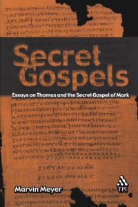 Imagen de portada: Secret Gospels 1st edition 9781563384097