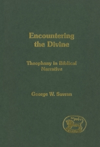 Cover image: Encountering the Divine 1st edition 9780567043917