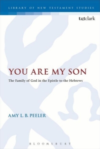 Imagen de portada: You Are My Son 1st edition 9780567665010