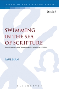 Cover image: Swimming in the Sea of Scripture 1st edition 9780567667885