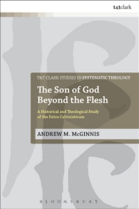 Cover image: The Son of God Beyond the Flesh 1st edition 9780567666734