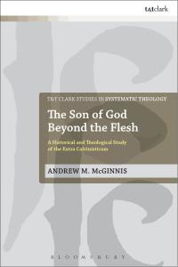 Cover image: The Son of God Beyond the Flesh 1st edition 9780567666734