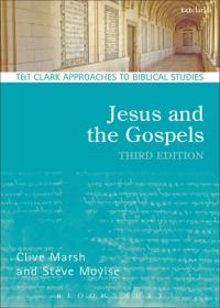 Cover image: Jesus and the Gospels 1st edition 9780567656186