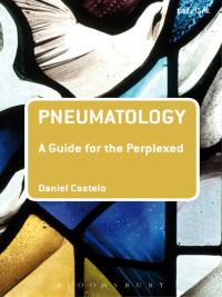 Omslagafbeelding: Pneumatology: A Guide for the Perplexed 1st edition 9780567006806