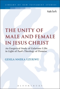 Cover image: The Unity of Male and Female in Jesus Christ 1st edition 9780567683106