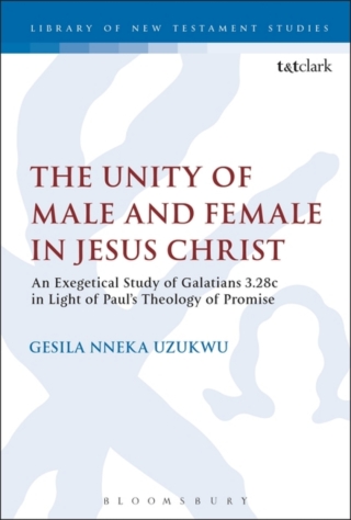 Cover image: The Unity of Male and Female in Jesus Christ 1st edition 9780567683106