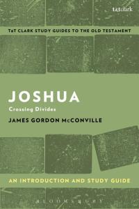 Titelbild: Joshua: An Introduction and Study Guide 1st edition 9780567670977