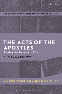 Cover image: The Acts of The Apostles: An Introduction and Study Guide 1st edition 9780567671233