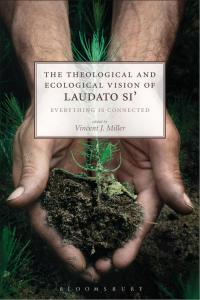 Omslagafbeelding: The Theological and Ecological Vision of Laudato Si' 1st edition 9780567673152