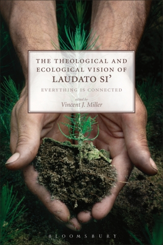 Cover image: The Theological and Ecological Vision of Laudato Si' 1st edition 9780567673152