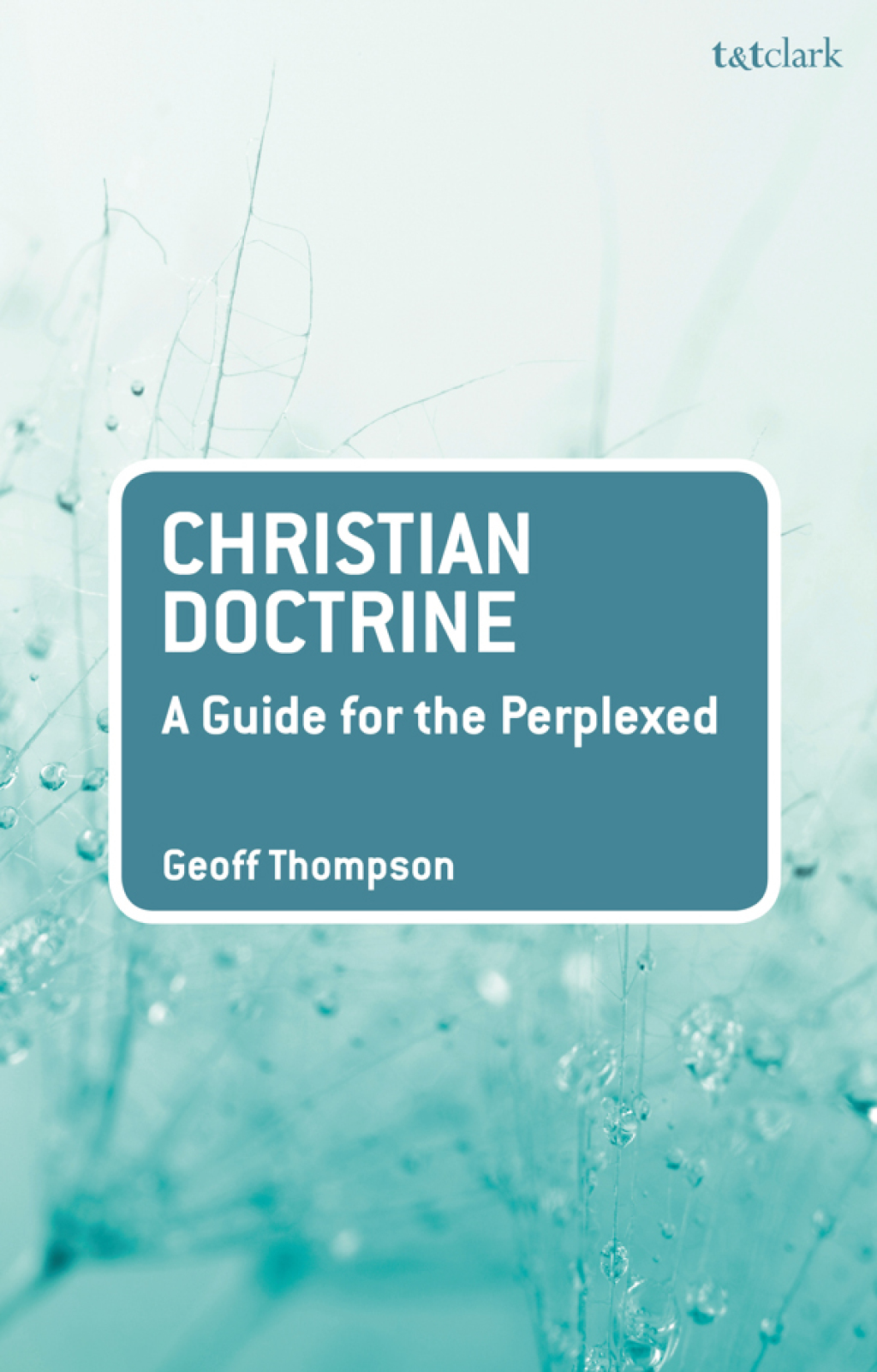 Christian Doctrine A Guide for the Perplexed 1st Edition