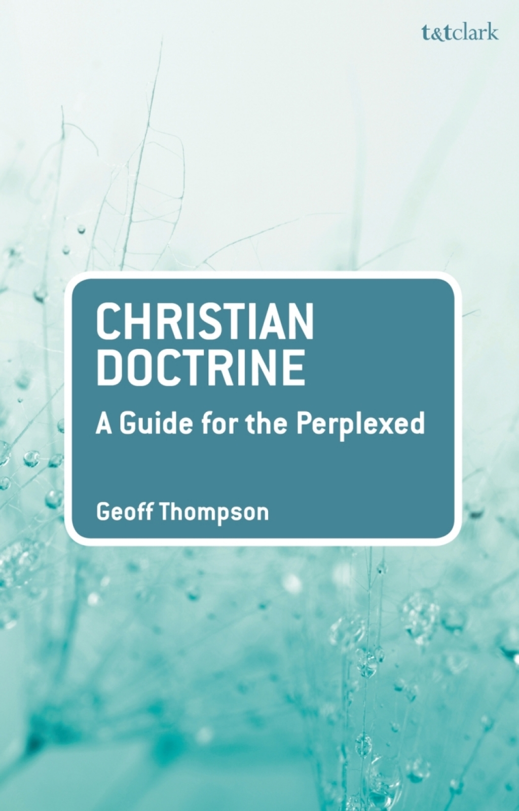 Christian Doctrine A Guide for the Perplexed 1st Edition