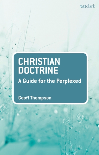 Omslagafbeelding: Christian Doctrine 1st edition 9780567673336