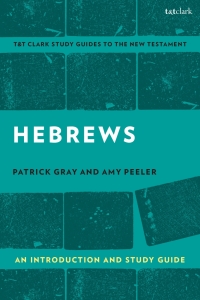 Cover image: Hebrews: An Introduction and Study Guide 1st edition 9780567674753
